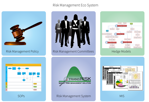 Risk Management Eco System